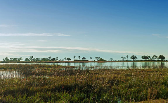 Selinda Reserve landscape