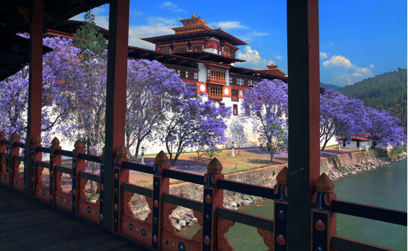 punakha dzong