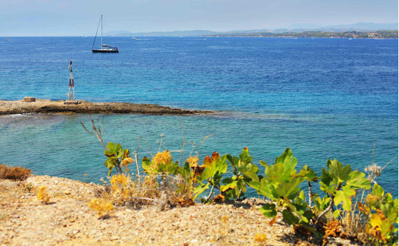 Coast of Spetses island