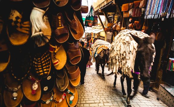 Donkey in Fez street