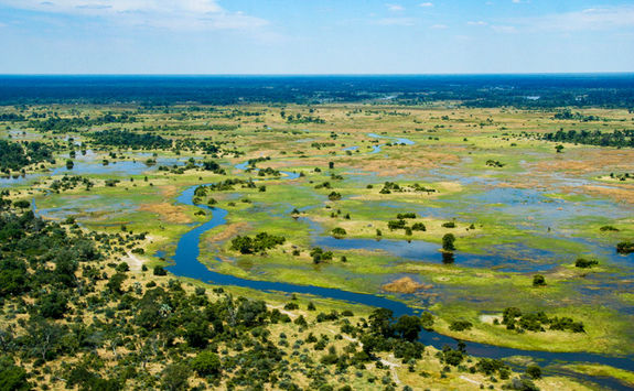 okavango birdseye