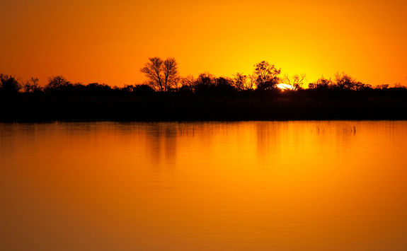 okavango sunset water