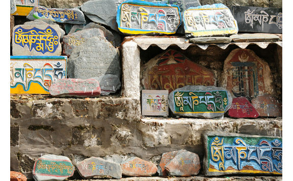 dharamsala signs