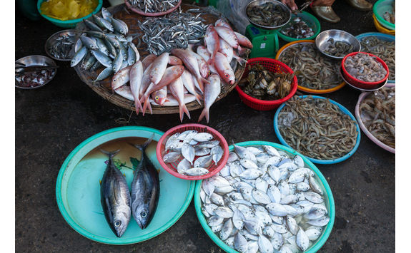 wet market