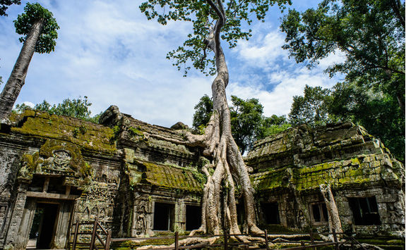 ta prohm