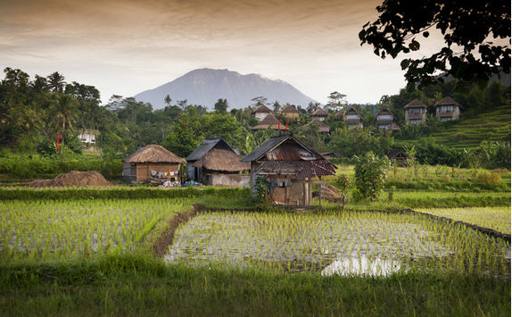bali village