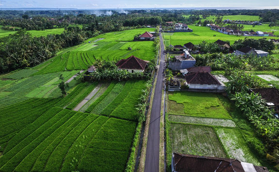 countryside road