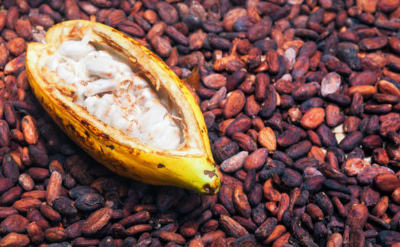 cocoa beans