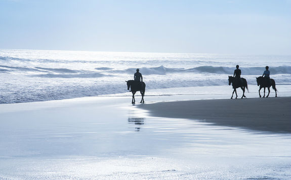 bali horseback