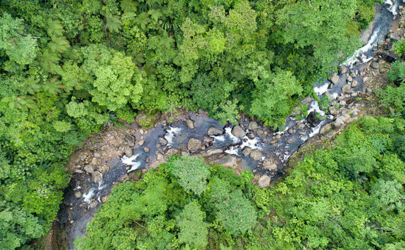 river running through rainforest