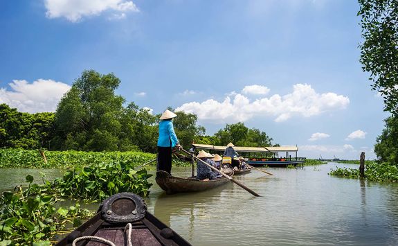 Rowing boats in the Mekong Delta