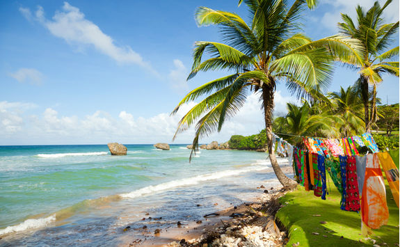 bathsheba coast clothes drying