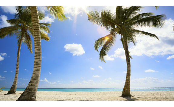 untouched tropical beach