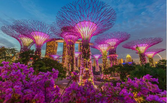 night view of gardens by the bay with pink artificial trees