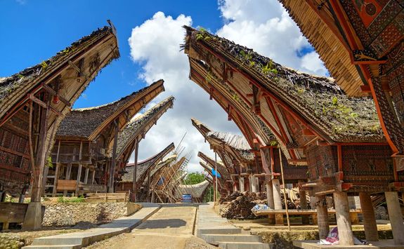 tongkonan traditional rice barns and house