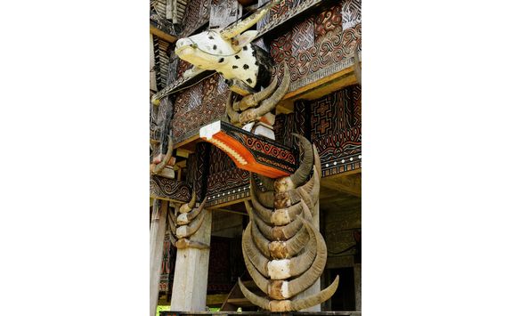 traditional facade house with horns of buffaloes