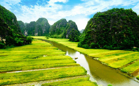 Rice field and river in Ninh Binh