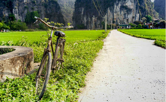 Rustic bicycle with paddy field in the background