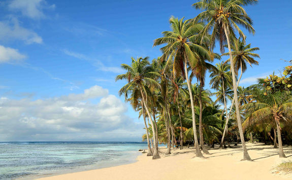 White sand beach on the south coast of Antigua