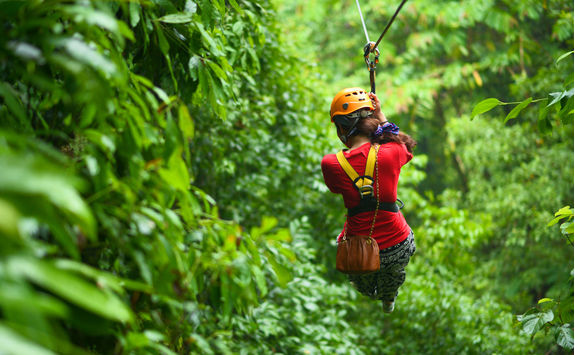 Zipline tour in the Antiguan rainforest