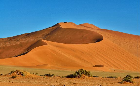 desert view