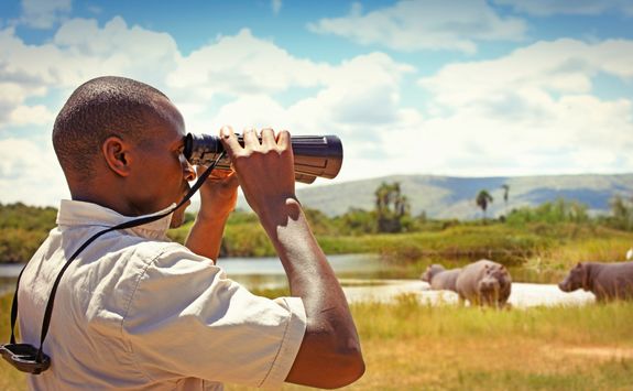 man with binoculars watching wild animals