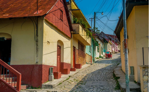 colourful street flores