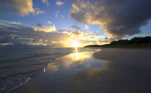 Nonsuch Bay beach