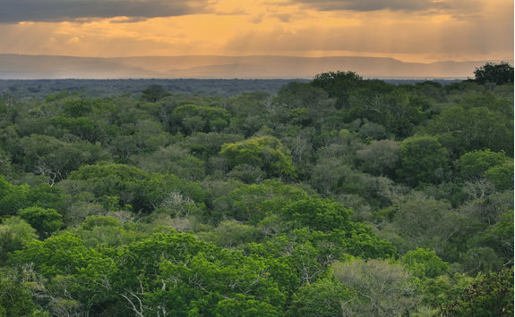 Sunset on a african skyline in KwaZulu Natal