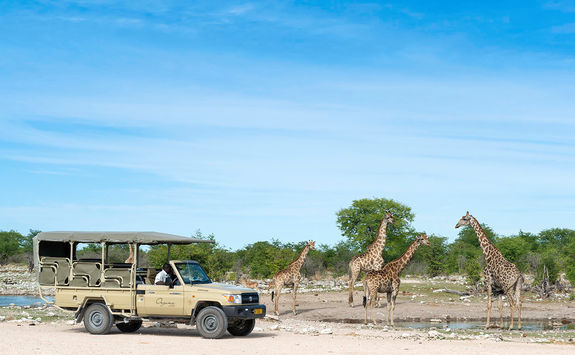 Game drive at Onguma