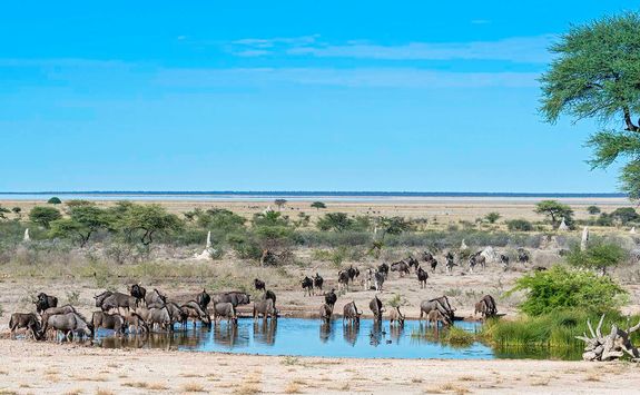 Onguma watering hole