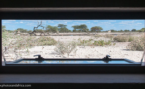 View from the Hide at Onguma