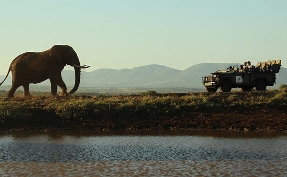 Thanda game drive