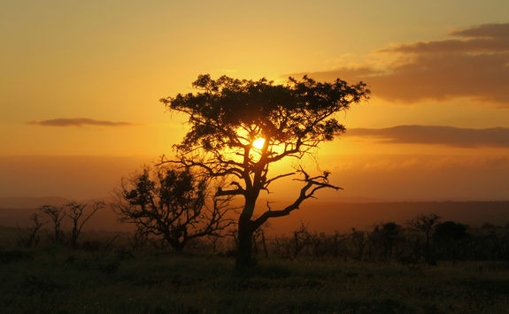 Sunset at Thanda