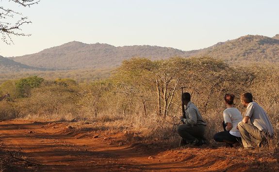 Thanda bush walk