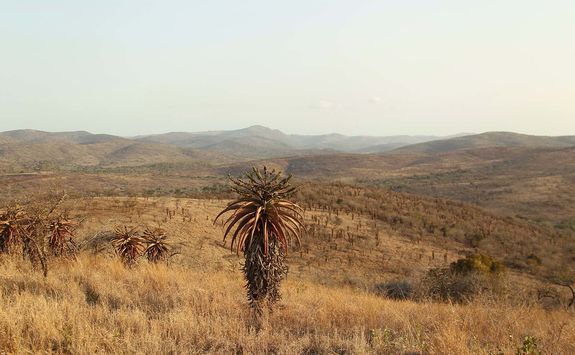Thanda scenery