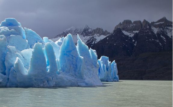 spectacular grey glacier