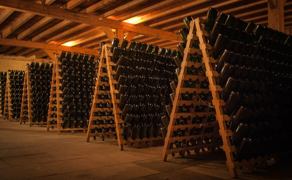 Bottles of champagne on a wine cellar
