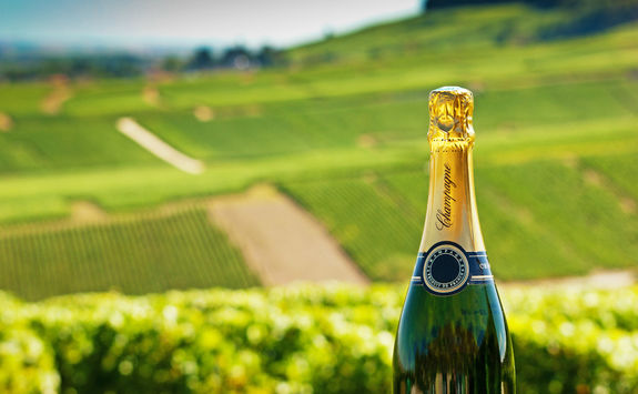 Champagne bottle in a vineyard