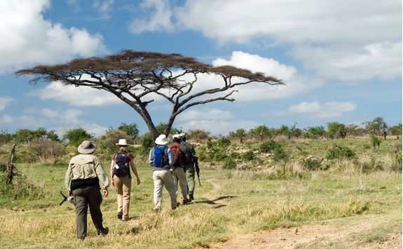 Group of people on walking safari