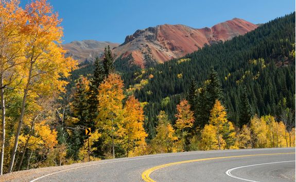 Highway in Autumn