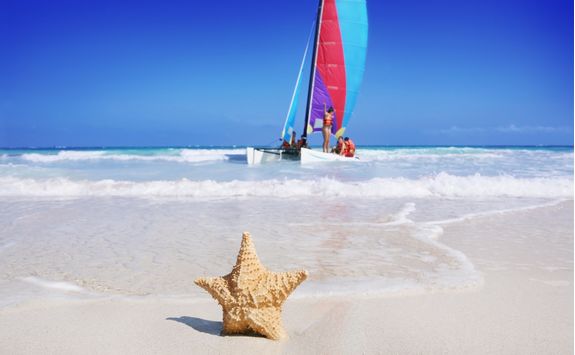 beach starfish and sailboat