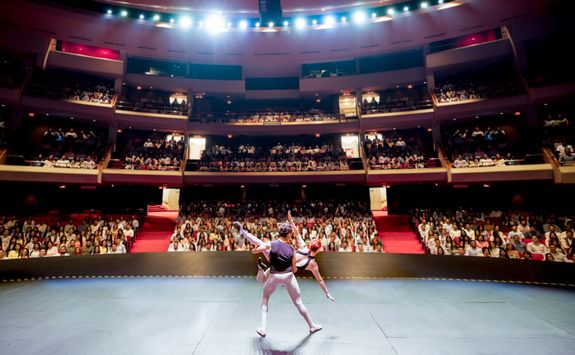rear view of ballet dancers