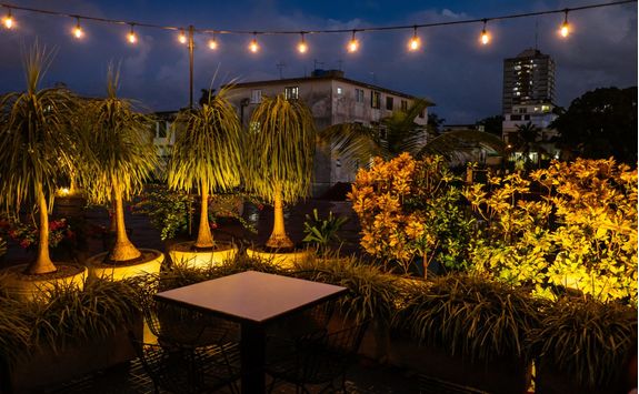 table with illuminated trees at night