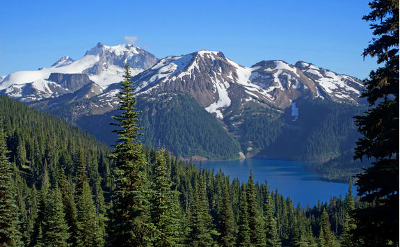 Garibaldi lake from the forest