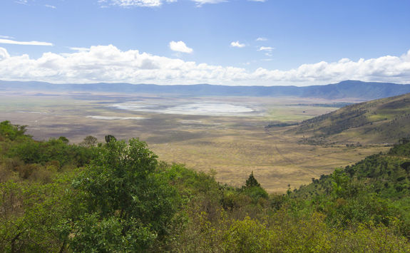 View of Ngorongoro from a hill