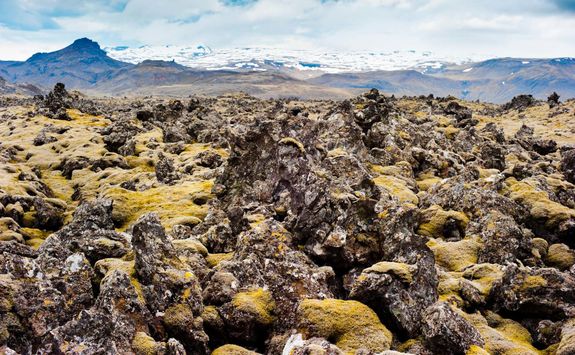 Icelandic-lava-field