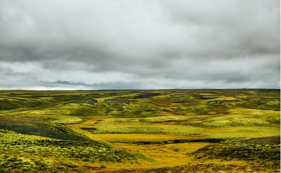 Lava field