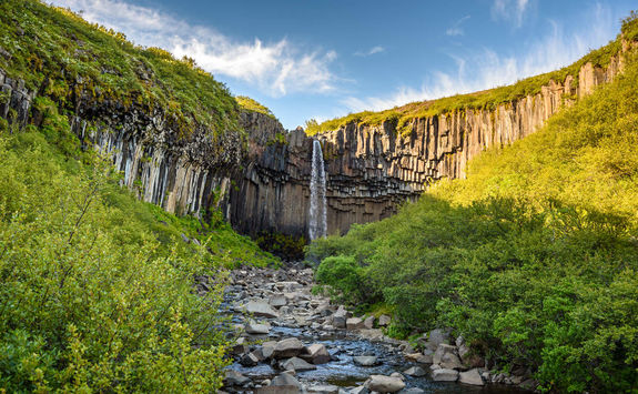 Waterfall Svartifoss in Skaftafell National Park