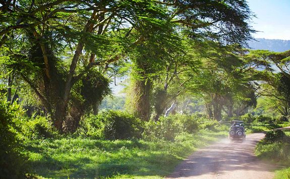 Arusha drive